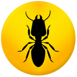 Pest Control